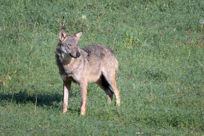 Miniatura: Kuka al sito di rendez-vous