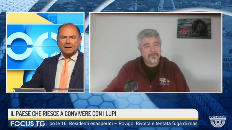 Intervista su Lupi di Aschi al Focus TG di Reteveneta