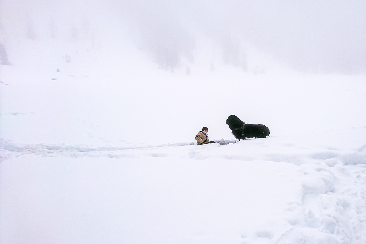 Coda e Dania nella neve