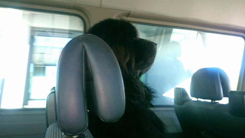 Coda in taxi a Lisbona