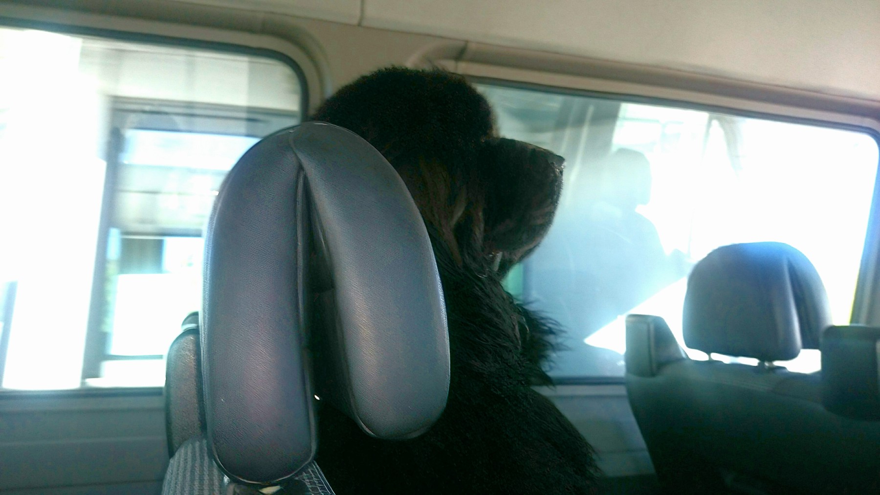 Coda in taxi a Lisbona